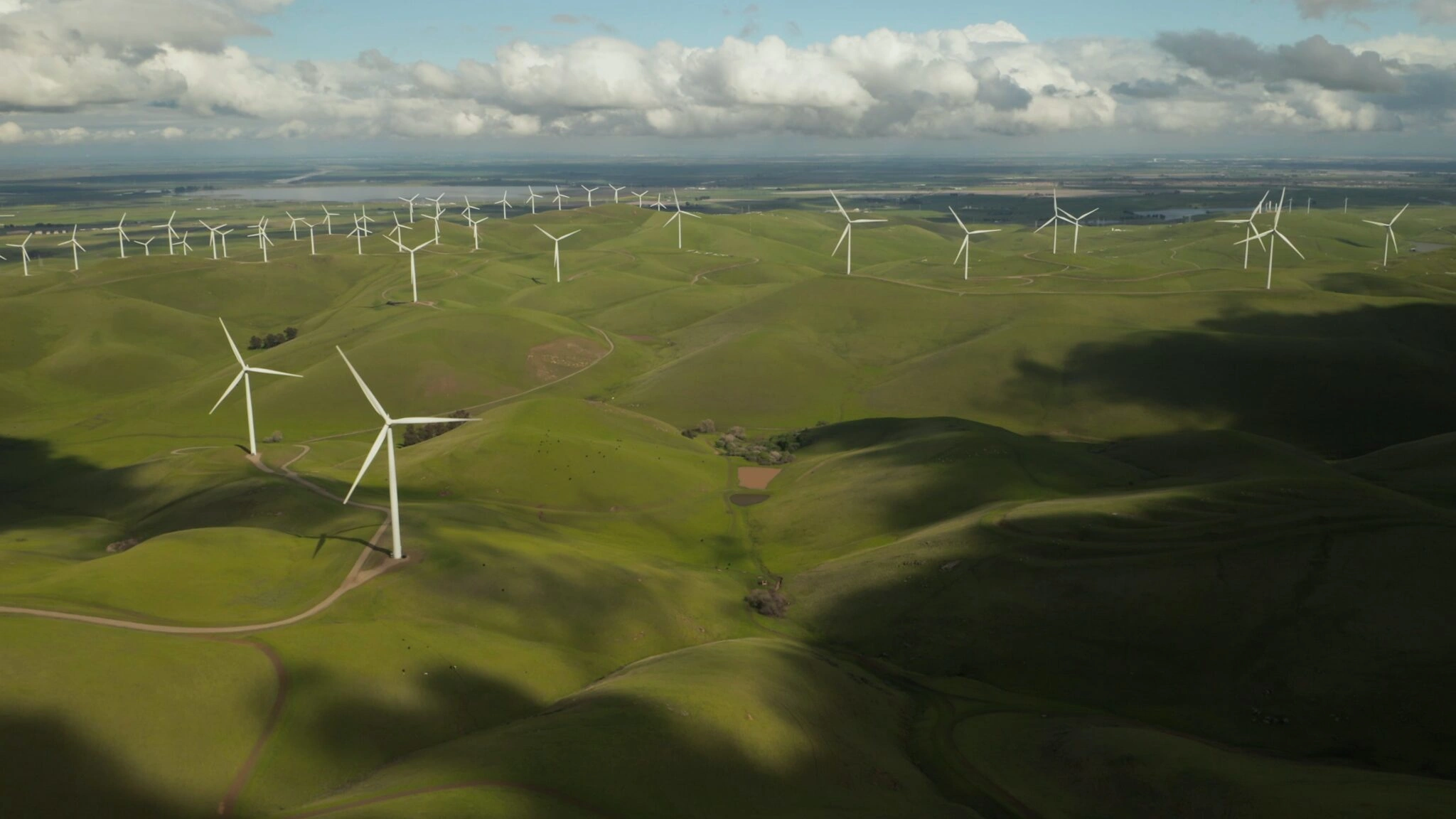 Investors 'Should Look Past' Easy Environmental Assessments | Environmental Finance